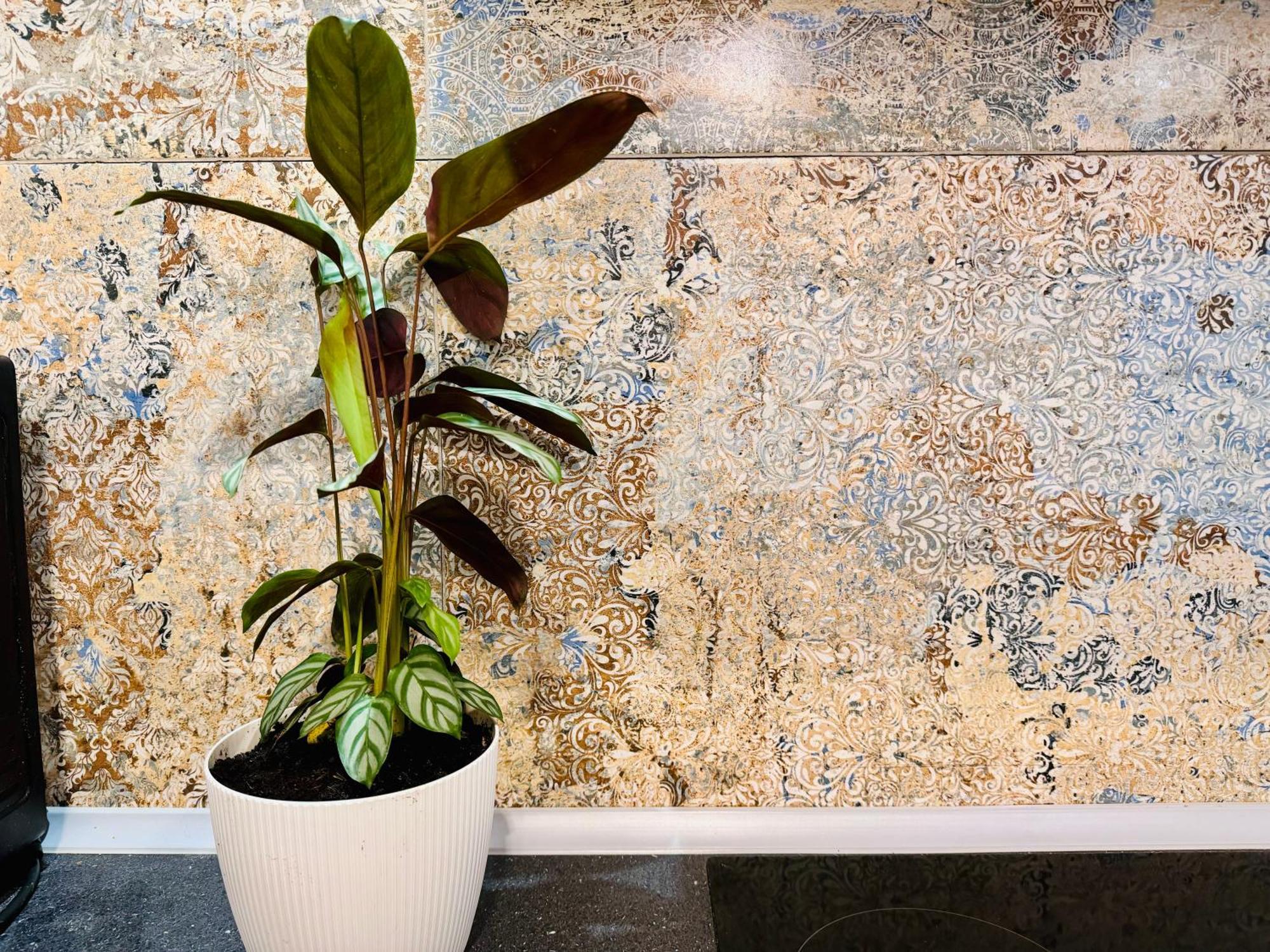 קרקוב Bohemian Apartment In Center Of Kazimierz District מראה חיצוני תמונה